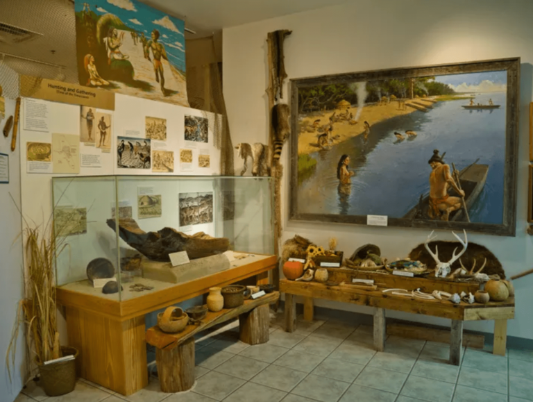 Cumberland Island Museum donates collection to UGA for research