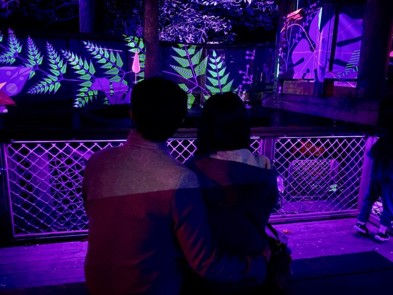 Discover the Captivating Beauty of Wildwoods Aglow at Fernbank