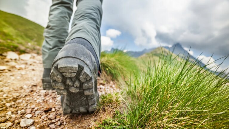 Hikers in the Italian Alpes discovered what scientists believe to be a prehistoric ecosystem that existed before the age of dinosaurs