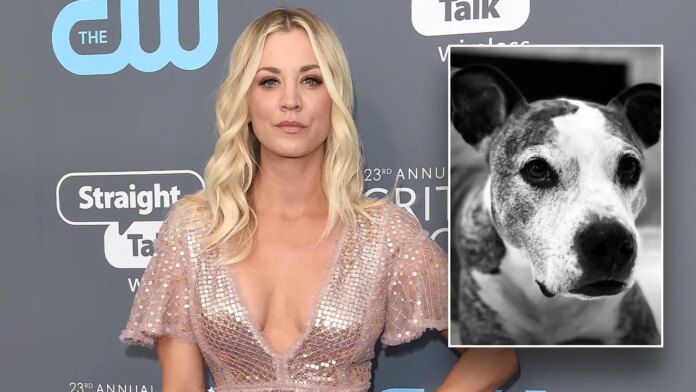 Kaley Cuoco made ‘excruciating decision' to rehome her dog after 'mega fights' with fiancé's pet