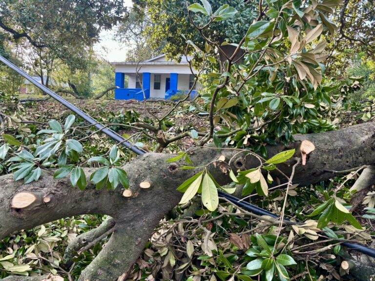 Loans for Georgia farmers affected by Hurricane Helene