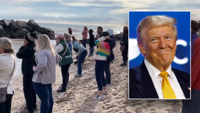 Wisconsin women unleash primal screams in protest of Trump win: video