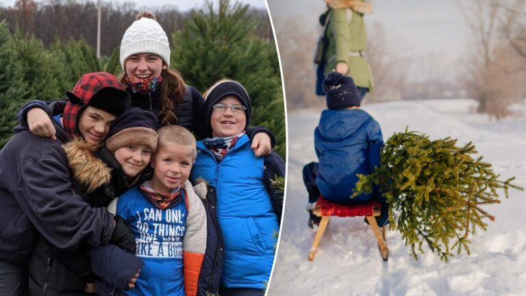 Americans travel to family-owned Christmas tree farms to pick the perfect pine: 'People love it'