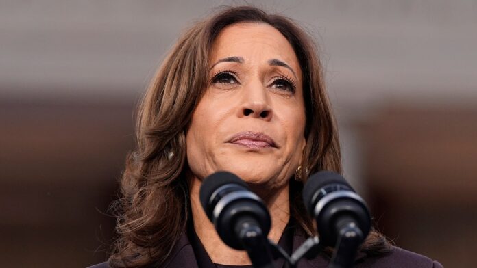 Harris tells DNC staffers after devastating layoffs, 'our spirit will not be defeated'