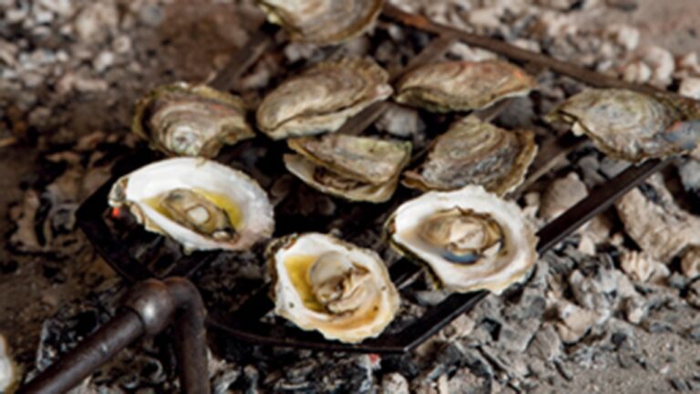 In South Carolina, Christmas means oyster roasts: 'Beloved delicacy'