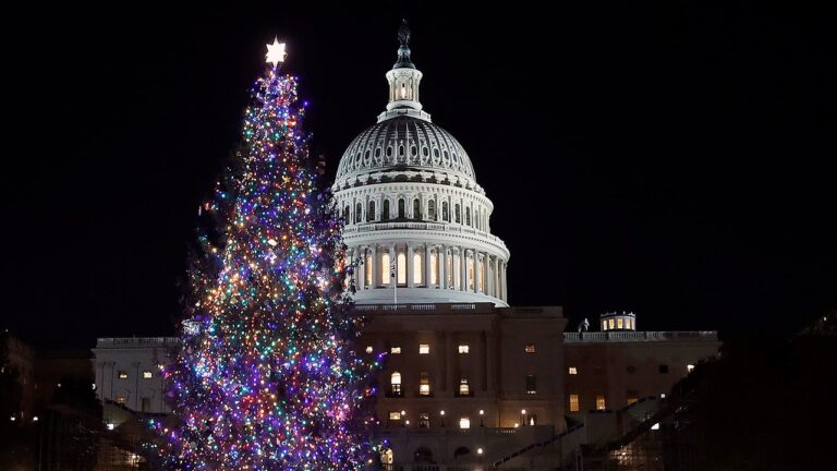 Rockin’ around the congressional Christmas tree: Lawmakers pass bill to prevent a government shutdown