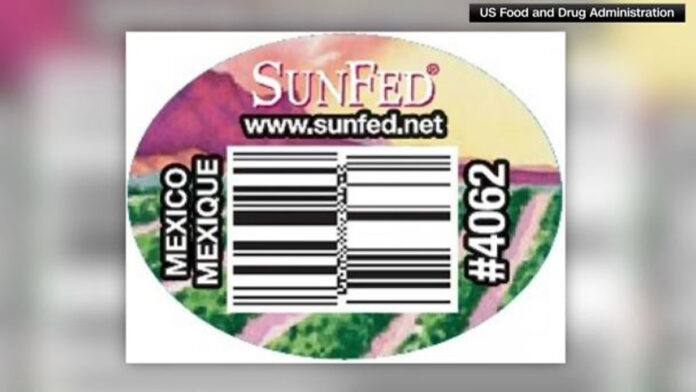 SunFed cucumbers and Costco eggs recalled due to potential salmonella contamination - Boston News, Weather, Sports