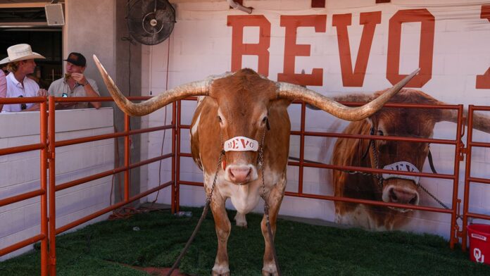 Texas Longhorns' live mascot, Bevo, barred from SEC championship