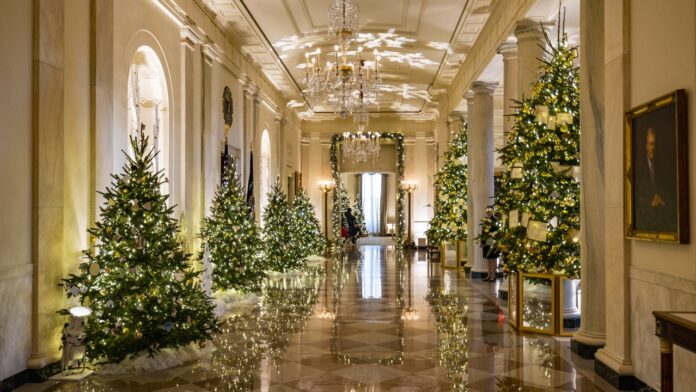 Theodore Roosevelt didn't display a White House Christmas tree while in office, but why?