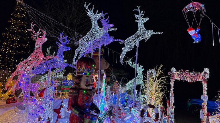 Christmas train decked out in bright lights spotted chugging along